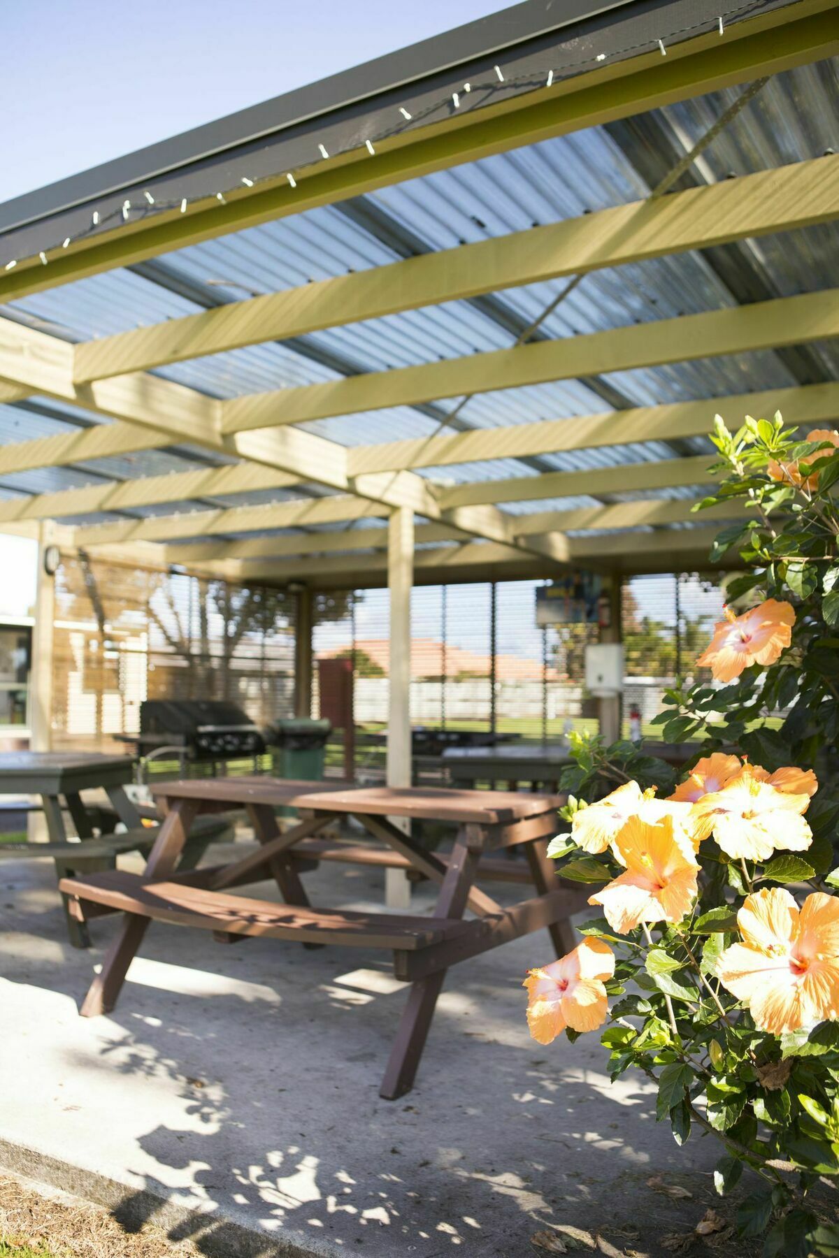 Mercury Bay Holiday Park Whitianga Esterno foto